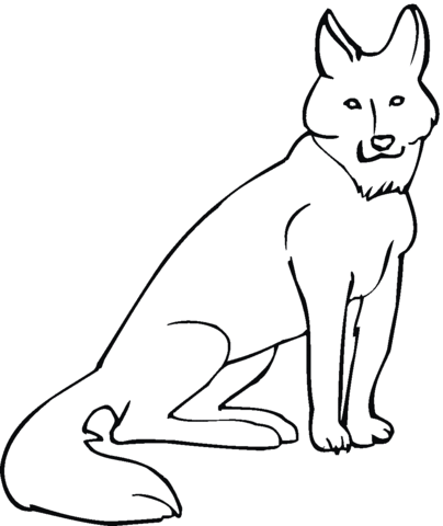 404x480 Coyote Coloring Page Free Printable Coloring Pages