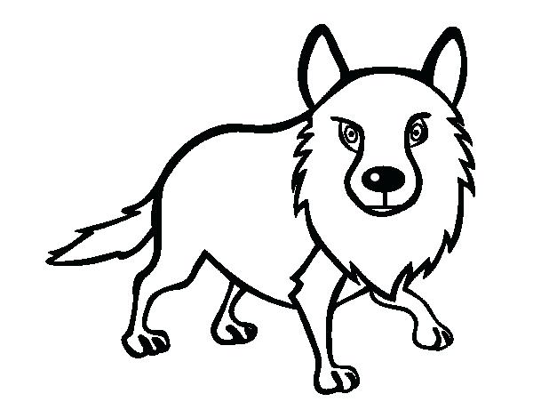 600x470 Top Coyote Coloring Page Image Wile E Pages Printable Desert Full