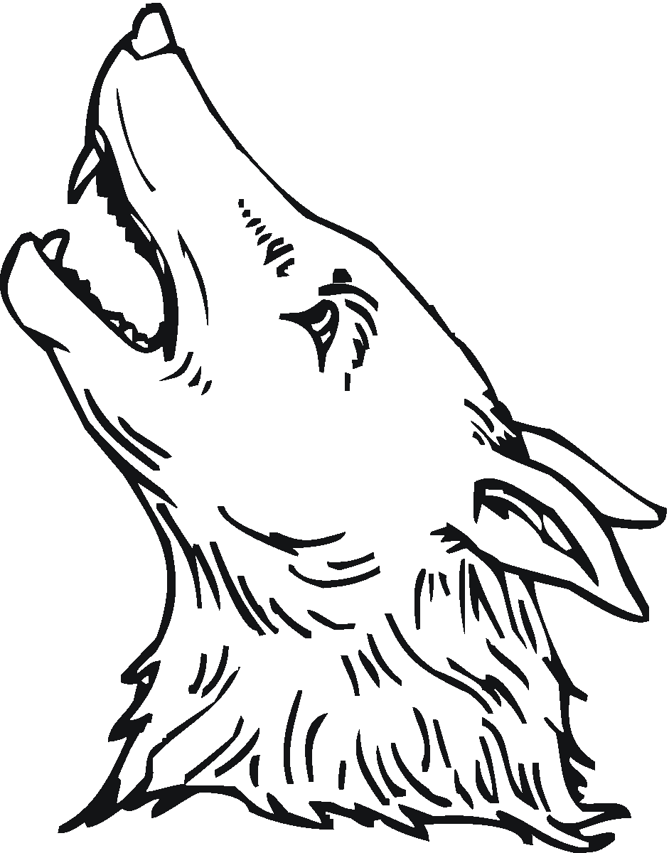 941x1200 Coyote Coloring Pages Coloring Page For Kids