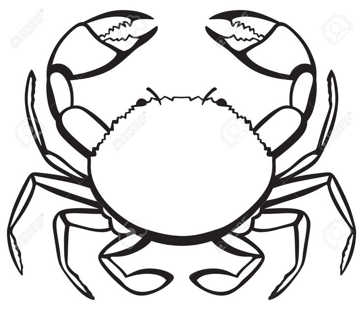 736x628 Break Dancing Crab Comic Crabs Simple Drawings
