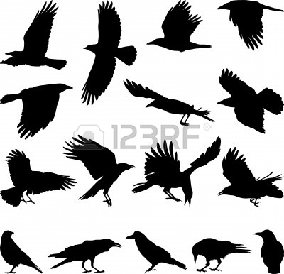 Simple Crow Drawing at GetDrawings | Free download