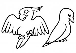 300x210 Bird Step By Step Drawing Bird Stepstep Drawing Learn How To Draw