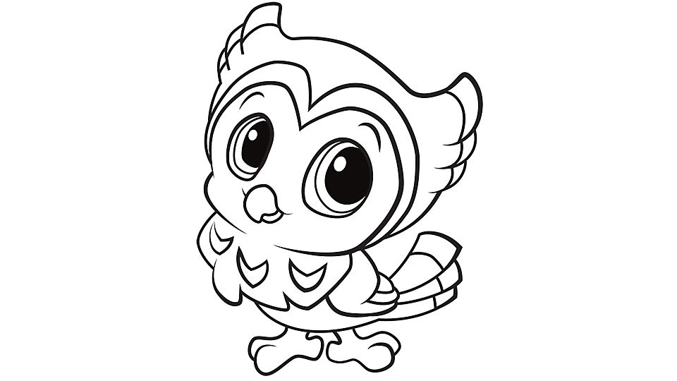 Simple Cute Owl  Drawing at GetDrawings com Free for 