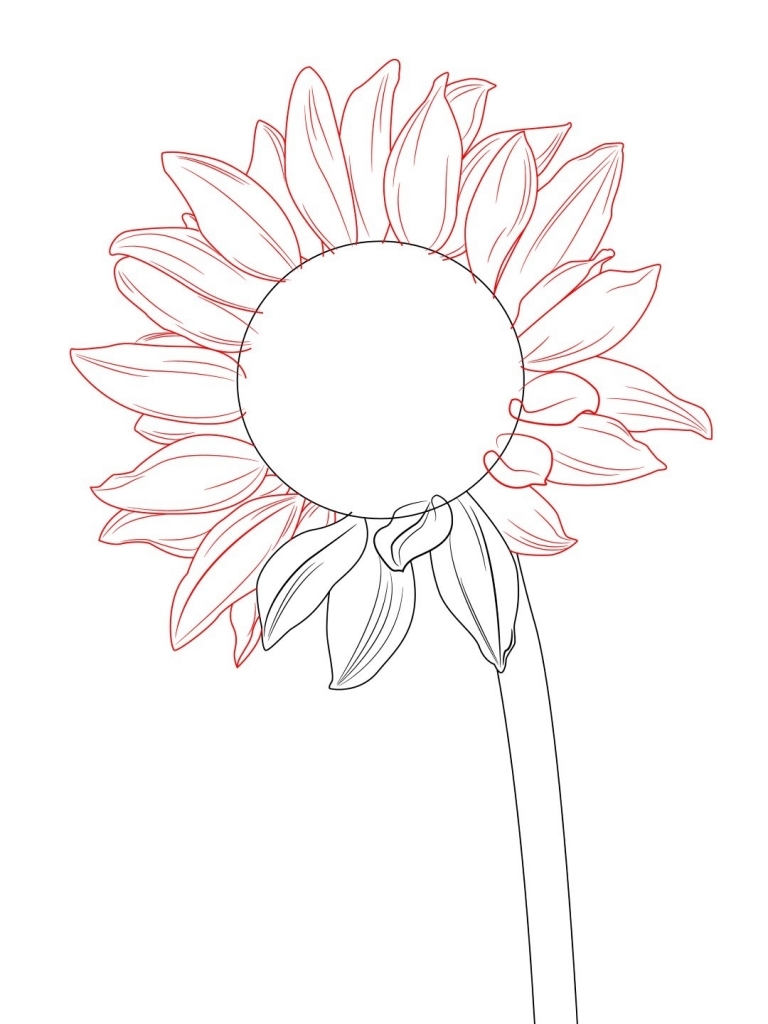 768x1024 How To Draw A Simple Flower How To Draw A Sunflower Draw Central
