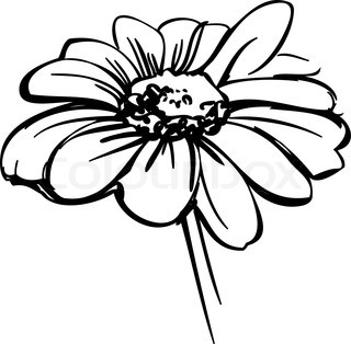 320x314 Daisy Simple Vector