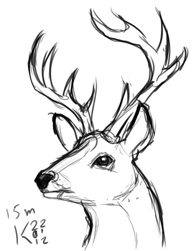 Simple Deer Drawing at GetDrawings | Free download