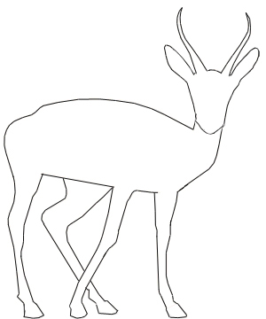 300x360 How To Draw A Gazelle