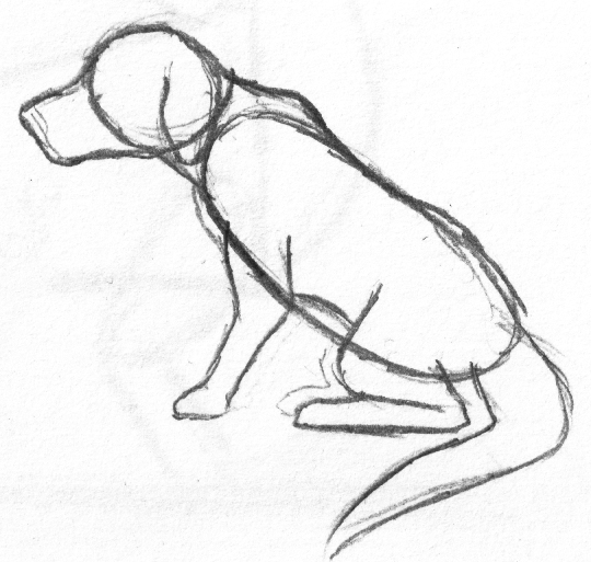 540x513 How To Draw A Dog