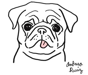 284x241 Image Result For Pug Line Drawing Simple Crafts