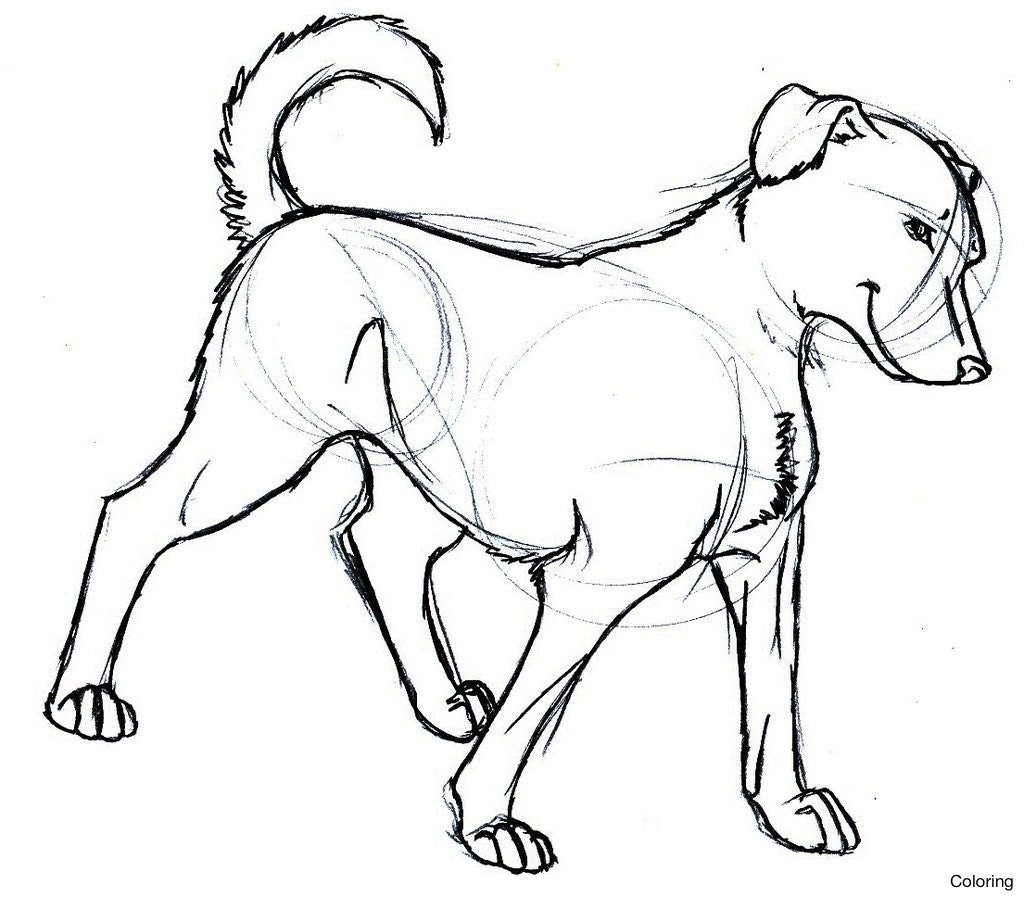 1024x897 Maxresdefault Drawing Of Dog Coloring How To Draw A Puppy Very