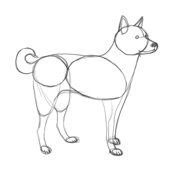 600x600 How To Draw Dog4 Simple Lines Dog Drawings