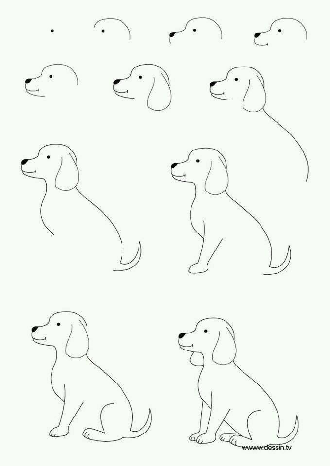679x960 How To Draw A Dog Doodles Draw, Doodles