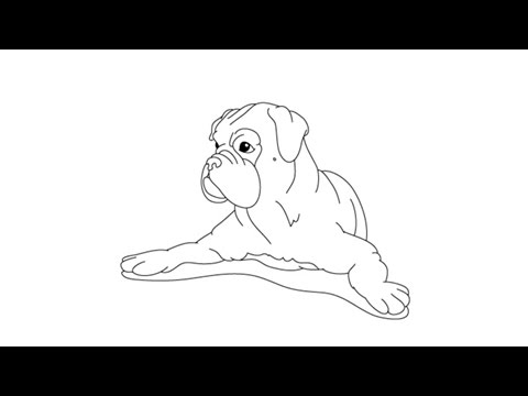 480x360 How To Draw A Boxer