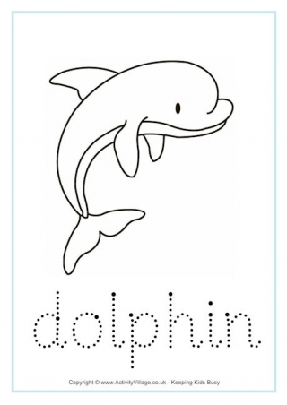 320x452 Dolphin Worksheets