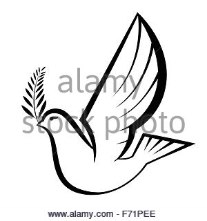 300x320 Drawing Of Dove Carrying Olive Branch Stock Photo, Royalty Free