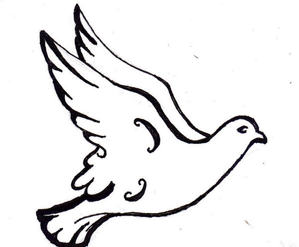 Simple Dove Drawing at GetDrawings | Free download