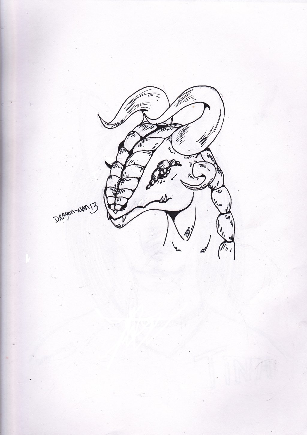 1024x1450 Dragon Head Simple 2 By Dragon Man13