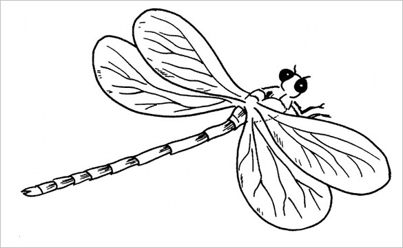 585x361 Dragonfly Templates, Crafts Amp Colouring Pages Free Amp Premium