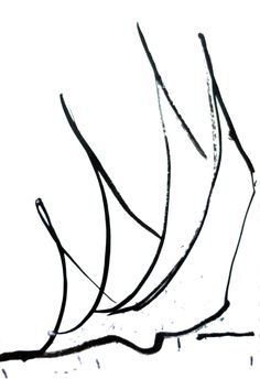 236x344 Architecture Sketch Simple Lines Concept Architecture Design