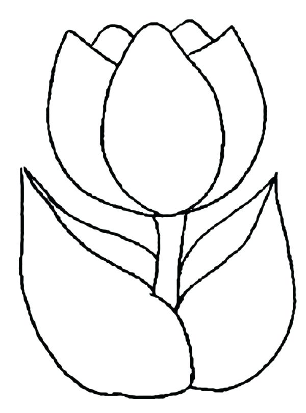 600x811 Tulip Coloring Page Cortefocal.site