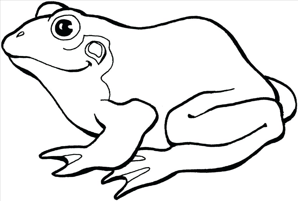 1024x693 Stylish Ideas Printable Frog Coloring Pages Simple Animal Frogs