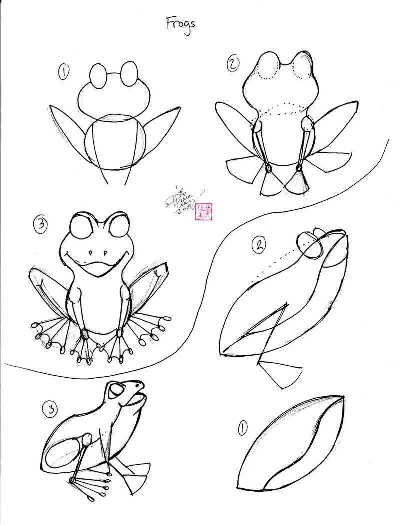 800x1050 Draw A Frog 1 By ~diana Huang On I'M Drawing A Blank