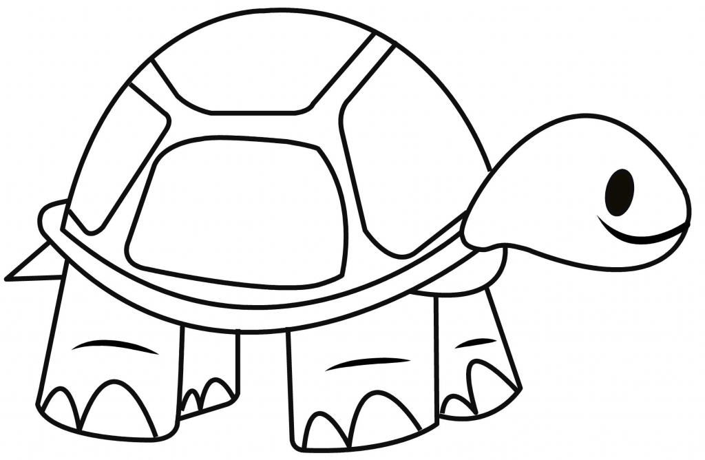 1024x668 Easy Turtle Drawings Simple Drawing Of Turtle How To Draw
