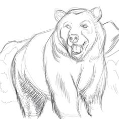 236x236 Easy To Draw Bear Standig How To Draw Bears Step 6 Bears