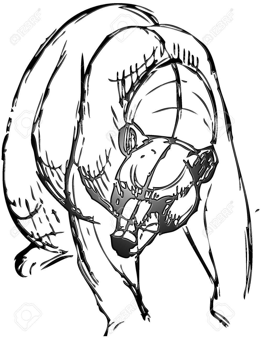1000x1300 Simple Drawing Of A Bear With Vector Effect Stock Photo, Picture