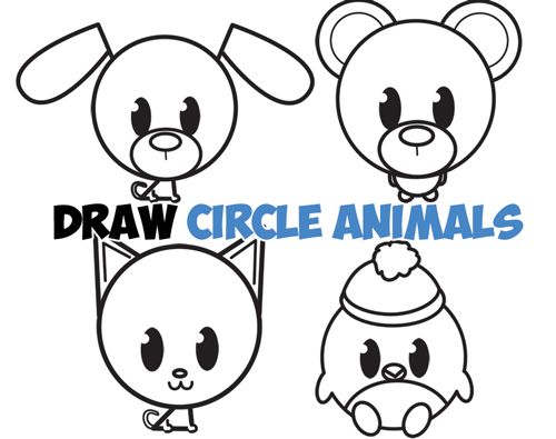 500x395 Learn How To Draw Cute Circle Animals With Simple Steps Drawing