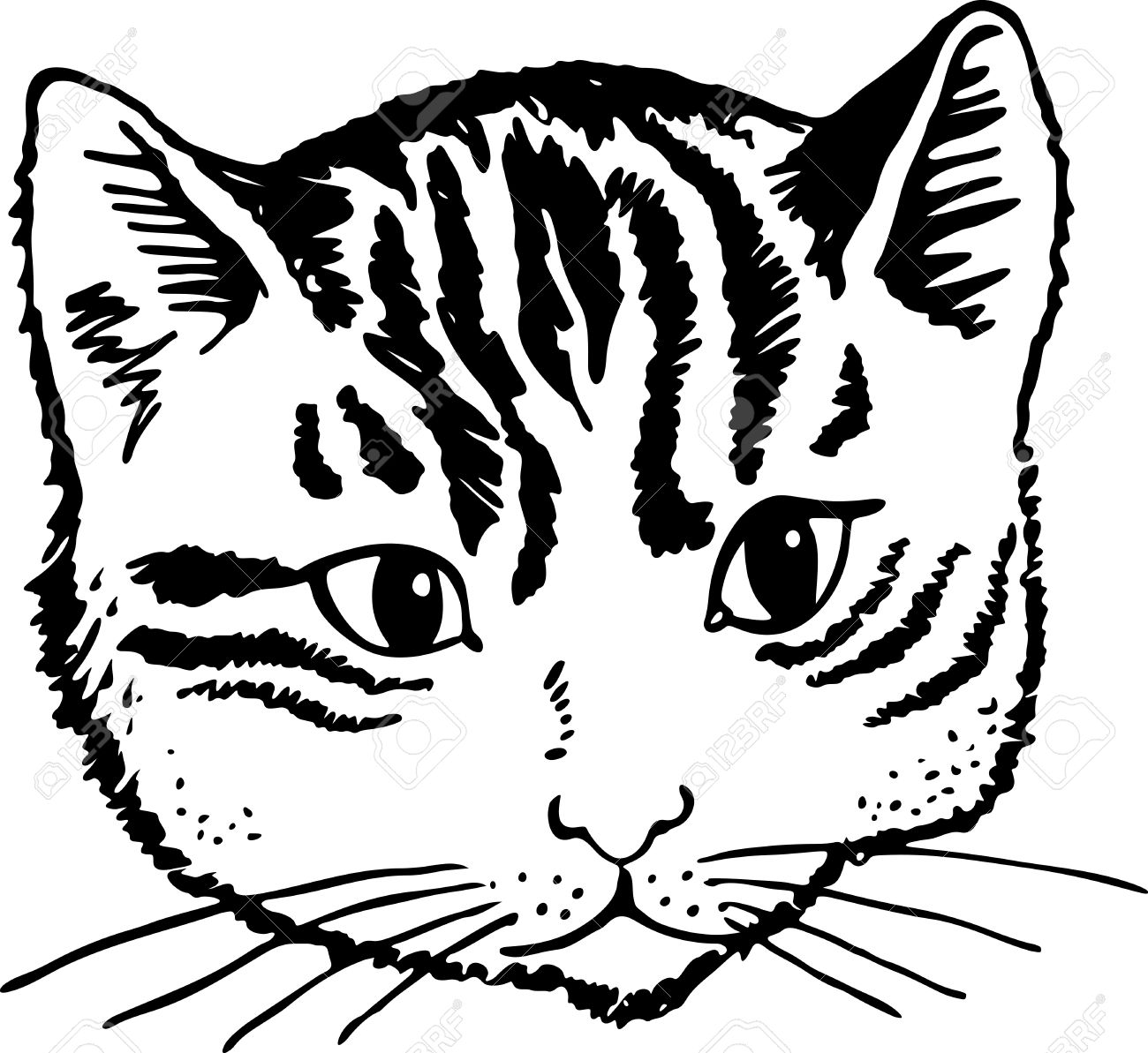 1300x1193 Simple Black And White Illustration Of A Cats Cute Face Stock
