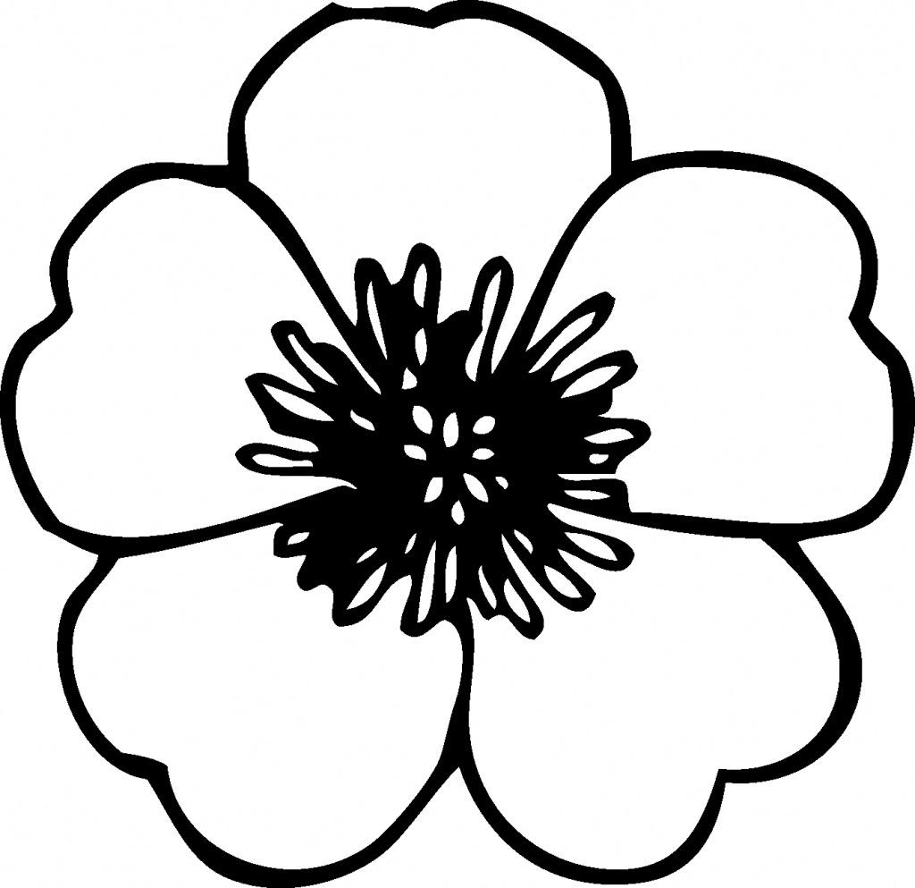 1024x993 Simple Flower Images To Draw Flower Drawing Simple Simple Flower