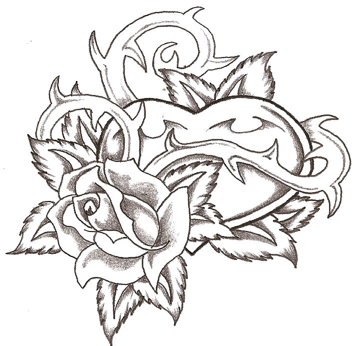 709x692 Heart And Rose By Thelob