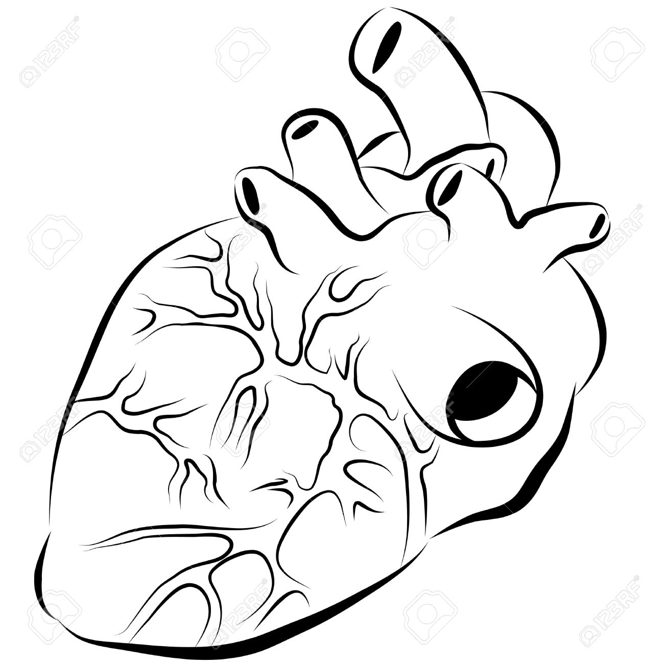 1300x1300 Simple Human Heart Drawing An Image Of A Human Heart Ink Drawing