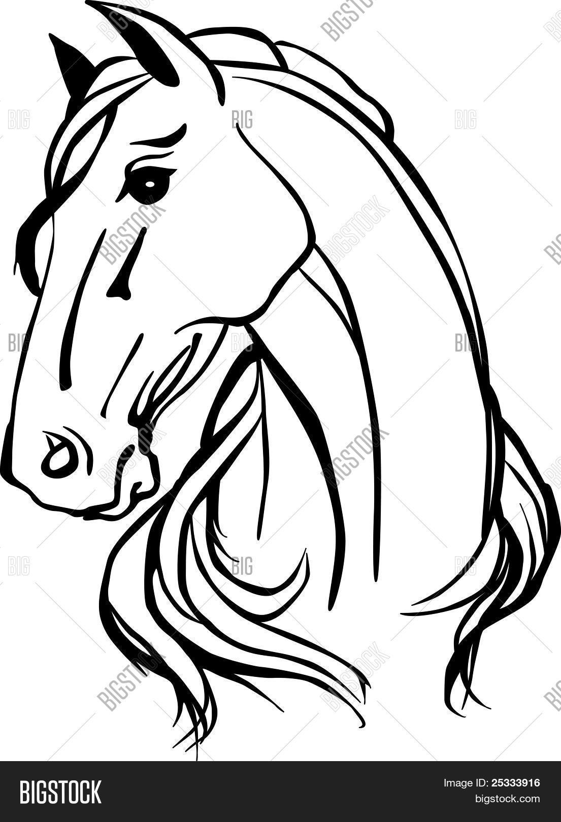 1105x1620 Horse Head Images, Illustrations, Vectors