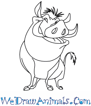 300x350 How To Draw Pumbaa From The Lion King