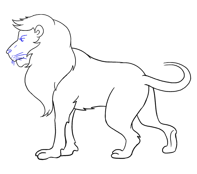 678x600 How To Draw A Lion In A Few Easy Steps Easy Drawing Guides