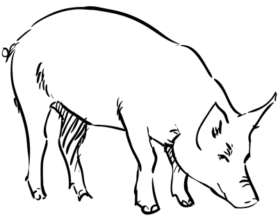 400x320 How To Draw A Pig Step By Step Tutorials Drawings