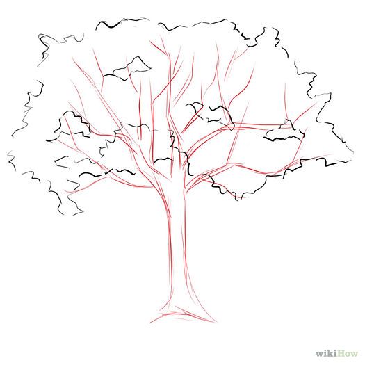 525x525 75 Best How To Draw Realistic Trees, Plants, Bushes And Rocks