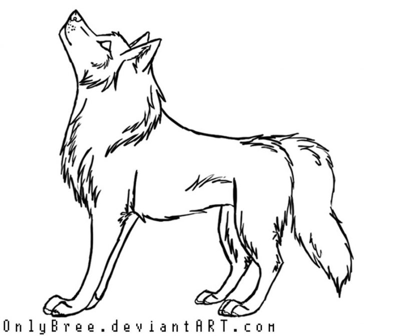 805x671 Simple Drawings Dr Odd. Easy To Draw Wolf Google Search Wood Art
