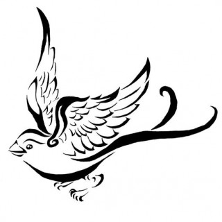 320x320 Tag For Simple Drawings Of Birds Gallery Images And Information