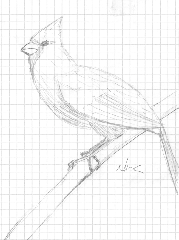 600x805 Draw A Bird Day Simple Drawings About Things That Happen