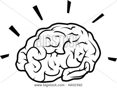 450x338 Human Brain Line Drawing