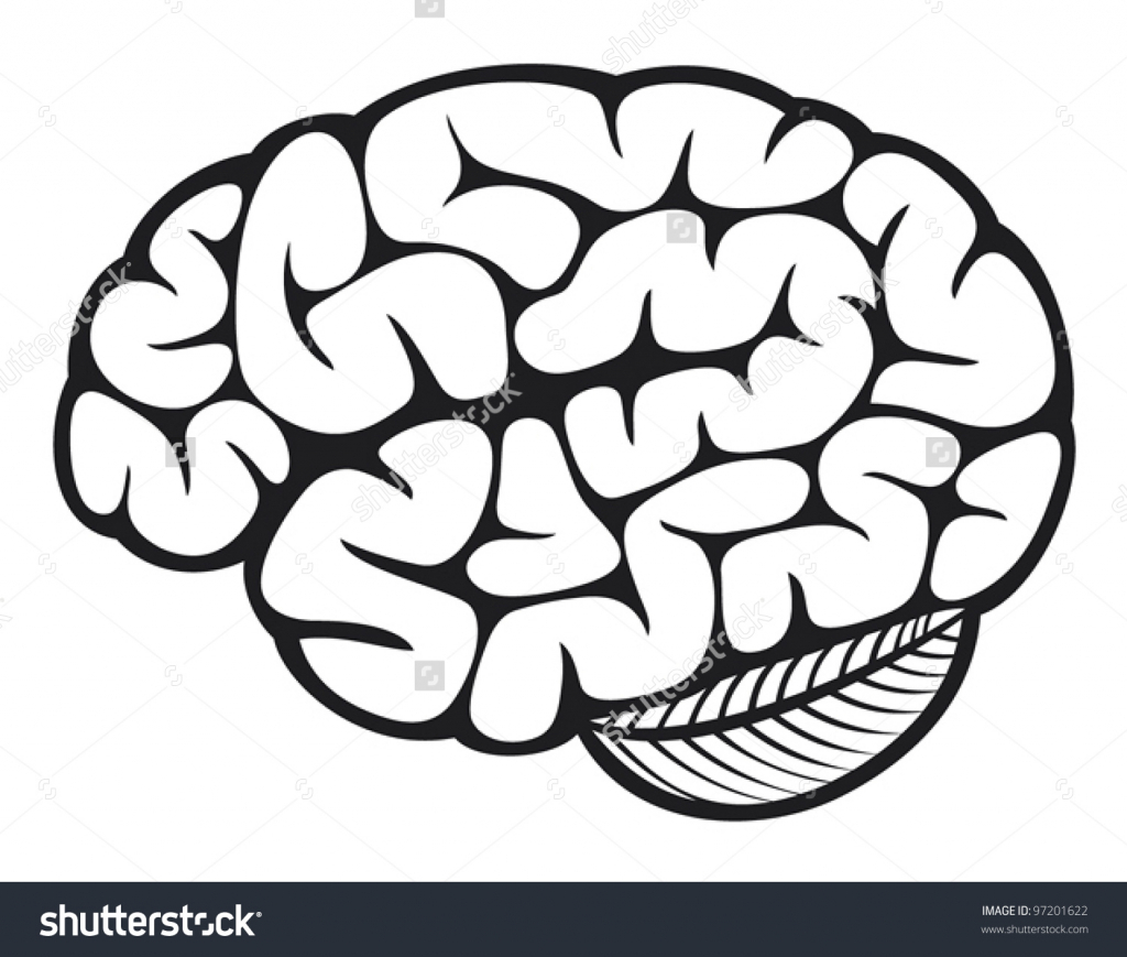 1024x869 Images Of Simple Drawing Of A Brain Brains Clipart Simple