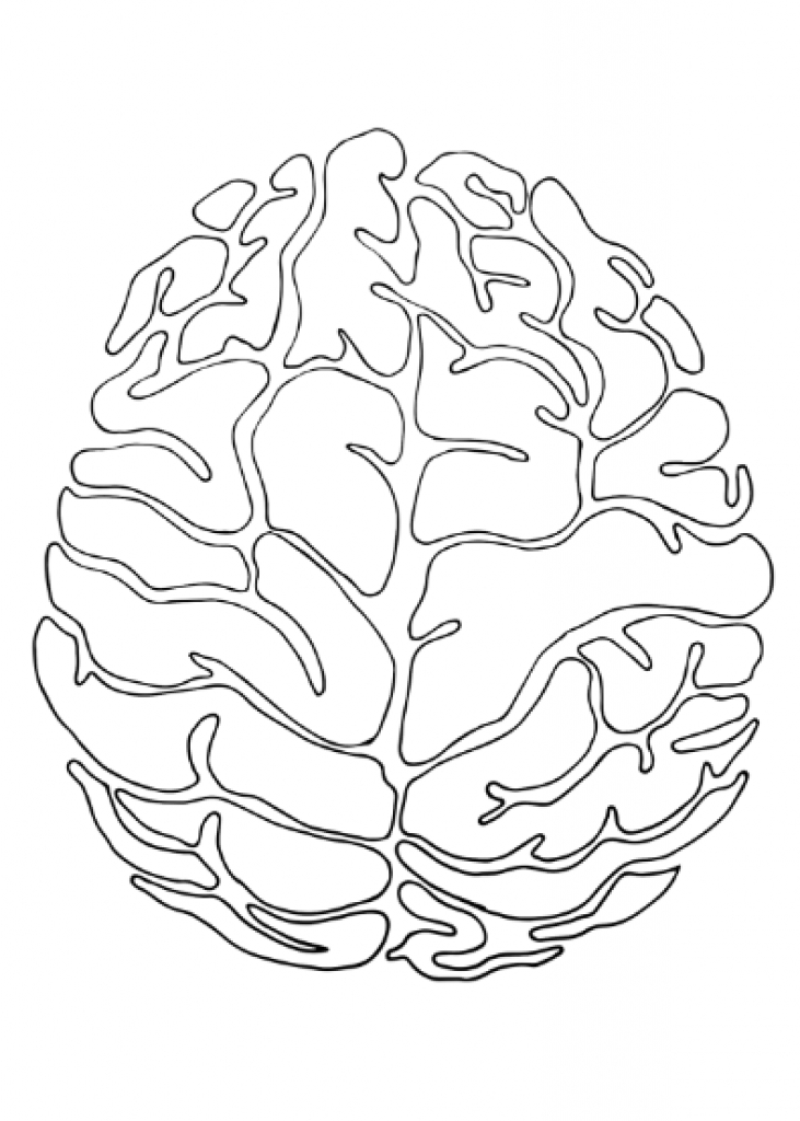 731x1024 Simple Drawing Of Brain 12 December 2013 Laurelwilko