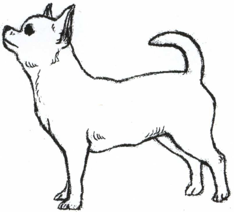 805x728 Drawing Good Easy Dog Drawings Together With Easy Wiener Dog