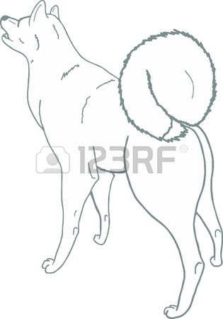 315x450 A Simple Drawing A Hunting Dog. The East Siberian Laika Royalty