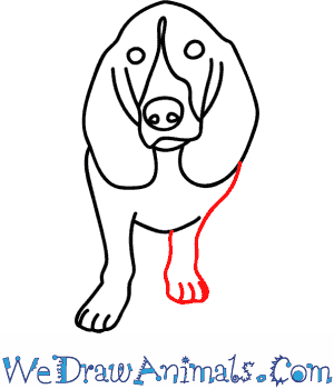 300x350 How To Draw A Hound Dog