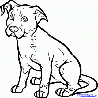 320x320 Tag For Easy To Draw Puppies How To Draw Dogs For Kids Step 6