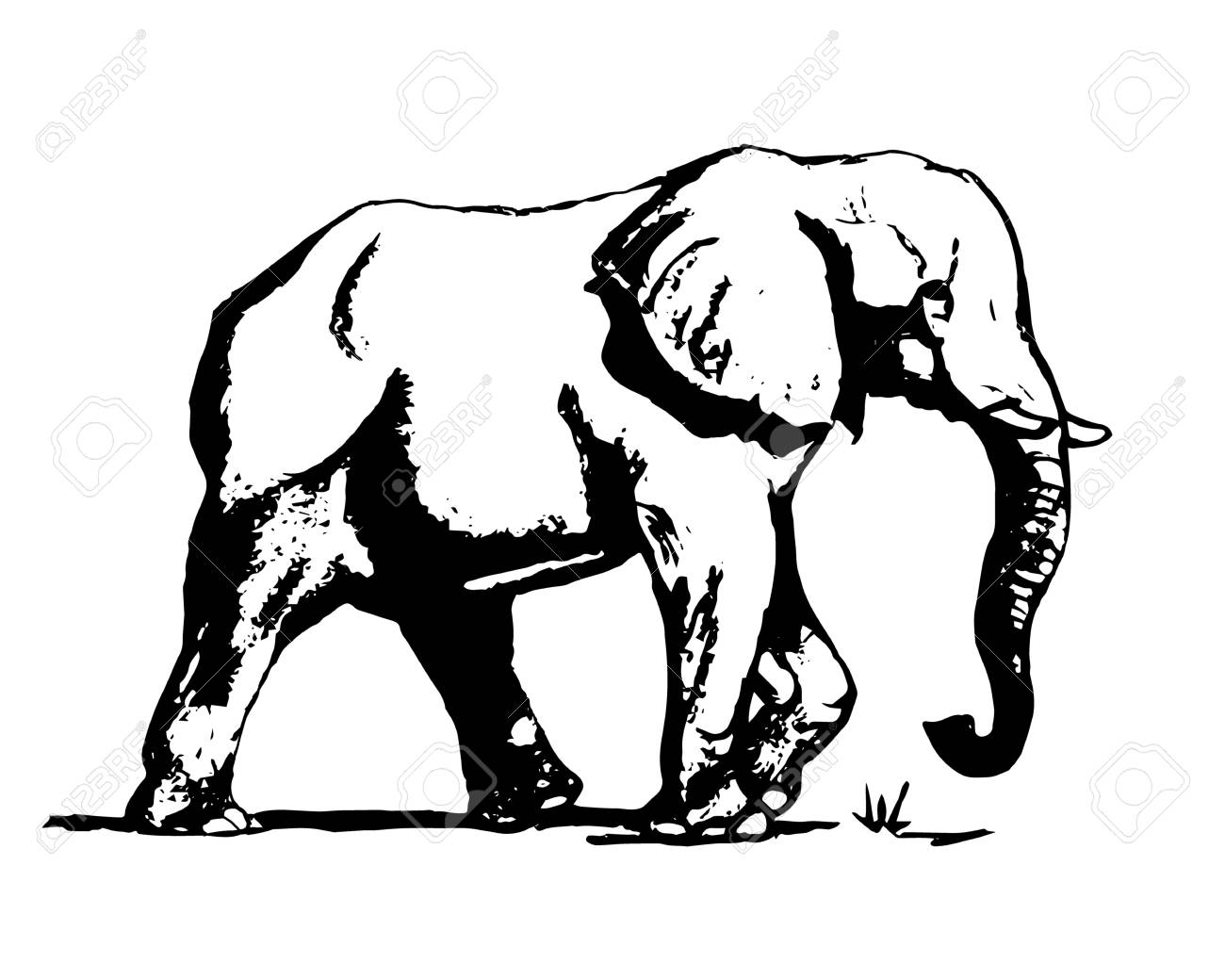 1300x1040 Graphic Image Of An Elephant On A White Background. The Freehand